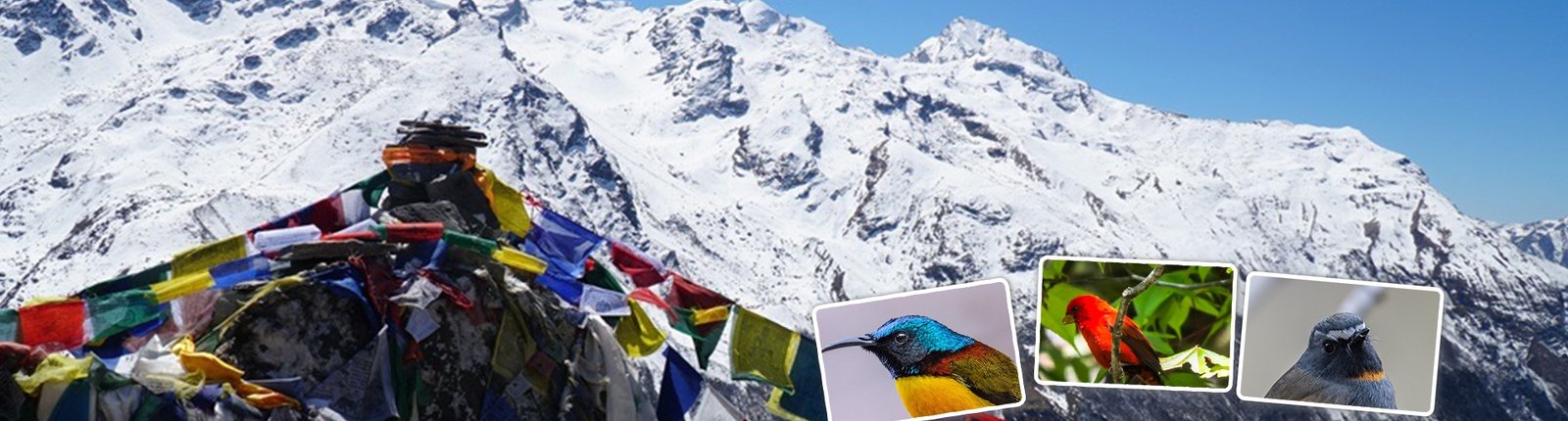 Bhutan Bird Watching Tour - Explore new adventures