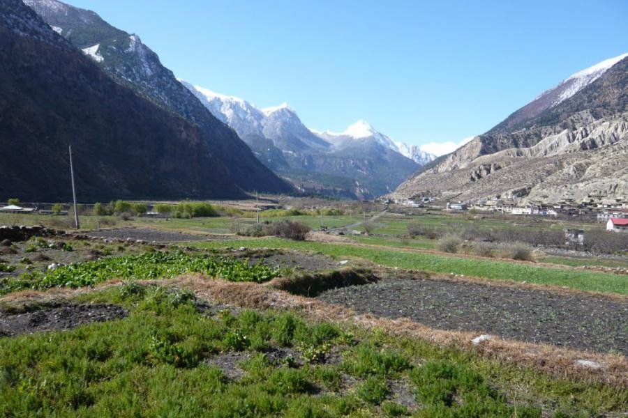 Explore Annapurna Jomsom Trek with activities like Trekking